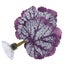 Loading Image 1 of 5