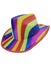 Rainbow Cowboy Hat Carousel 1