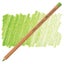 Faber-Castell Pitt Pastel Pencil #170 May Green Carousel 1