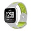Fitbit Versa Silicone Strap Silver/Volt Carousel 1