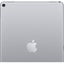 iPad Pro 10.5 (2017) A1701 Wi-Fi Only 64GB Silver Carousel 9