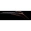 iPad Pro 10.5 (2017) A1701 Wi-Fi Only 64GB Silver Carousel 11