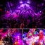 Black Light NZ Clearance Carousel 4