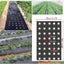 WEEDMAT :95cmx10m WITH HOLES for weed/moisture/warmth for seedlings/plants, 1pc Carousel 4