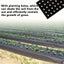 WEEDMAT :95cmx10m WITH HOLES for weed/moisture/warmth for seedlings/plants, 1pc Carousel 5