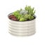 Galvanised Steel Garden Bed 9-in-1 Modular Oval Vegetable Planter [Cream] Carousel 16