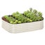 Galvanised Steel Garden Bed 9-in-1 Modular Oval Vegetable Planter [Cream] Carousel 17