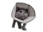 Dog Cone Adjustable Pet Cone Recovery Collar Anti Lick Surgery Collar Size XL Carousel 2