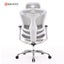 Sihoo A3 DORO C300 Ergonomic Chair Light Gray Carousel 13