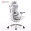 Sihoo A3 DORO C300 Ergonomic Chair Light Gray Carousel 14