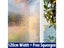 Window Film Clearance Clearance Carousel 1