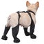 suspender boots for dogs adjustable suspender boots for dogs dog paw protector Carousel 3