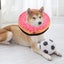 dog protective inflatable collar Dog Inflatable Collar Cute Look Soft Surgery Carousel 4