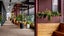 gallery view thumbnail