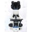40-1000X Trinocular Microscope Carousel 6