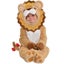 Costume Little Roar Lion 6-12 Months Carousel 1
