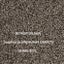 NZ Made carpet Rugs 3600 x 2700 overlocked edges Carousel 11