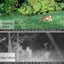 New Hunting Trail Camera Sale Sale Sale Carousel 4
