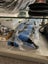 gallery view thumbnail