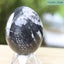 Orthoceras Fossil Egg (TMY150) Carousel 3