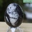 Orthoceras Fossil Egg (TMY150) Carousel 4