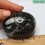 Orthoceras Fossil Egg (TMY150) Carousel 5