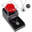 1set Hollow Zircon Love Necklace Female MOTHER'S Day Eternal Carousel 2