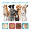 Pet Licking Mat - Food Slow Feeder Pad for Dog Anxiety Relief Carousel 11