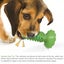 Dog Teeth Cleaning Squeaking Molar Rod Play Bite Toothbrush Toy Carousel 8