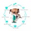 Dog Teeth Cleaning Squeaking Molar Rod Play Bite Toothbrush Toy Carousel 16