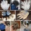 Pet Grooming Gentle Deshedding Brush Glove Carousel 10