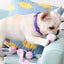 Dog Chew Rope Toys Set - Pack of 7 PCS Cotton Puppy Pet Chew Toys Carousel 4