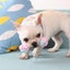 Dog Chew Rope Toys Set - Pack of 7 PCS Cotton Puppy Pet Chew Toys Carousel 6