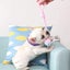 Dog Chew Rope Toys Set - Pack of 7 PCS Cotton Puppy Pet Chew Toys Carousel 7