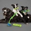 Dog Chew Rope Toys Set - Pack of 7 PCS Cotton Puppy Pet Chew Toys Carousel 9