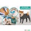 Dog Onesie for After Surgery Pet Surgical Recovery Suit Carousel 6