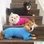Dog Onesie for After Surgery Pet Surgical Recovery Suit Carousel 10