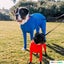 Dog Onesie for After Surgery Pet Surgical Recovery Suit Carousel 11
