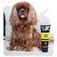 Animology Dog Fox Poo Shampoo Carousel 7