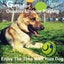Whimsy Wag Giggle Glow Ball, Interactive Dog Toy Carousel 4