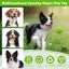 Whimsy Wag Giggle Glow Ball, Interactive Dog Toy Carousel 6