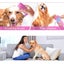 PAWMOM Dog Paw Cleaner Upgraded 2 In 1 Portable Dog Paw Washer Carousel 7