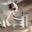 2L Automatic Pet Water Fountain Carousel 3