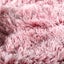 Pawz Dog Blanket Pet Cat Mat Puppy Warm Soft Plush Washable Reusable Large Pink Carousel 4