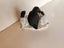 Penguins ornament Carousel 3