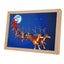 led illuminated painting light photo frame Lighting Painting Decoration 3 Color Carousel 3