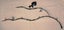 branch coat rack with fantail forged by blacksmith Carousel 1