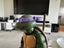 Teenage Mutant Ninja Turtles Donatello 15” - Neca Carousel 10