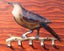 artistic tui key ring holder Carousel 1