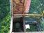 2x guinea pig cages+igloos Carousel 4